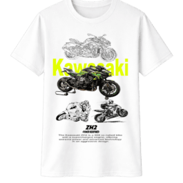 Kawasaki 07